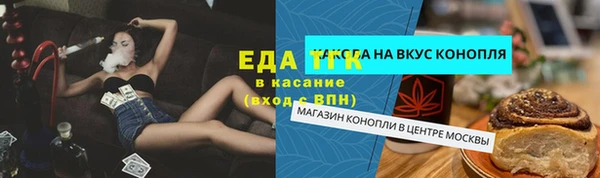 тгк Алзамай