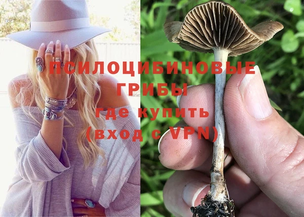 тгк Алзамай