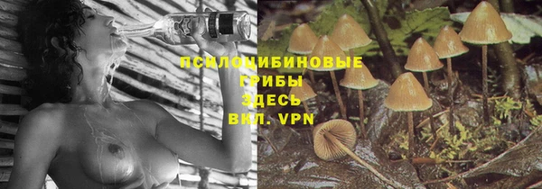 спайс Абинск